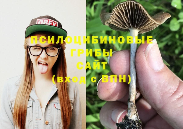 дмт Лабытнанги