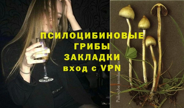 mdpv Саяногорск