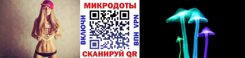 Псилоцибиновые грибы Psilocybine cubensis  Колпашево 