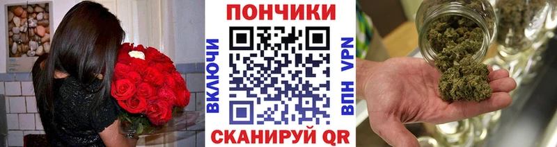 Канабис ГИДРОПОН Колпашево